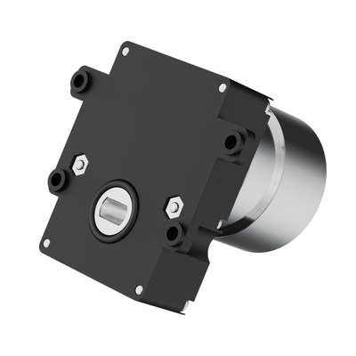 مركب 30 دورة في الدقيقة الدودة العدادات Dc المحرك 12v للفولف